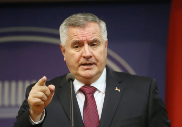 viskovic